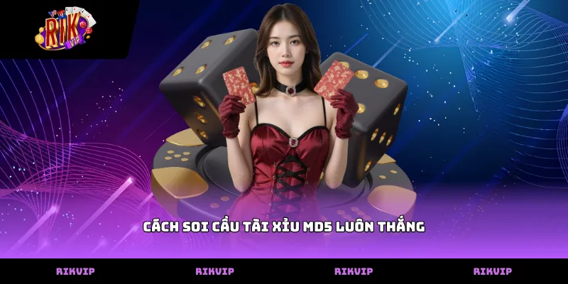 Kỹ thuật áp dụng cách soi cầu tài xỉu md5 luôn thắng
