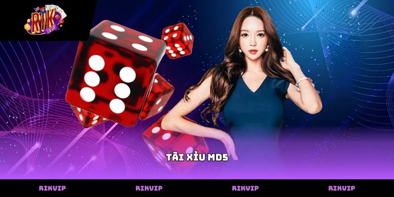 Ứng dụng tài xỉu md5 hiện đại trong các phiên cược